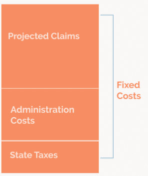 Fully Insured Plan